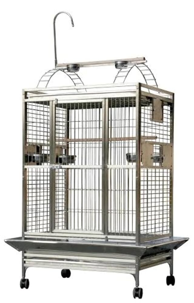 Amazon.com : A&E Cage Co. Play Top Cage, 36